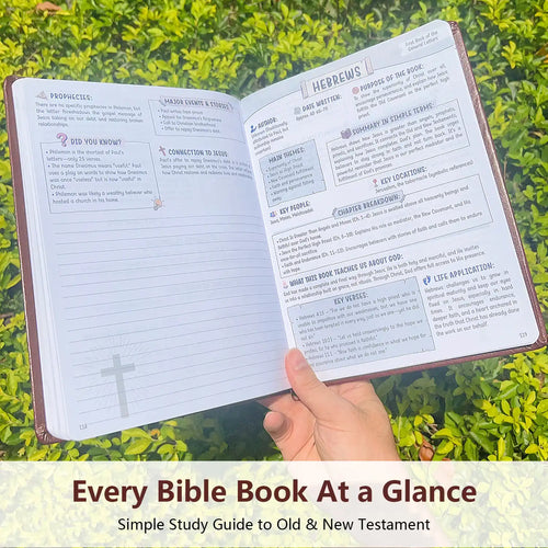 Large Print Bible Study Guide,66 Books Guided Devotional Prayer Journal,Faithsprout The Bible in a Year Long Plan,Scripture Prompt Devotional Notebook,Premium Hardcover,Christian Gift for Beginners