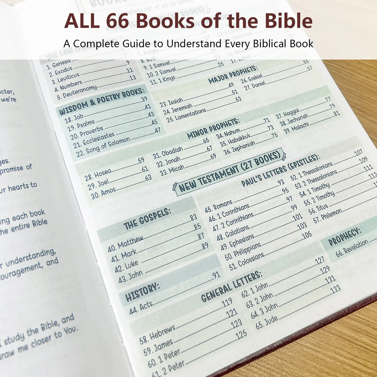 Large Print Bible Study Guide,66 Books Guided Devotional Prayer Journal,Faithsprout The Bible in a Year Long Plan,Scripture Prompt Devotional Notebook,Premium Hardcover,Christian Gift for Beginners